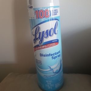 Lysol 19 oz Disinfectant spray